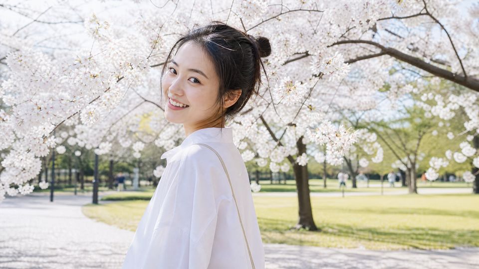 探花